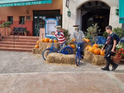 Cafe Bar co work mietoption Palma