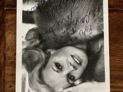 Carroll Baker  /  autograph / signed / Autogramm
