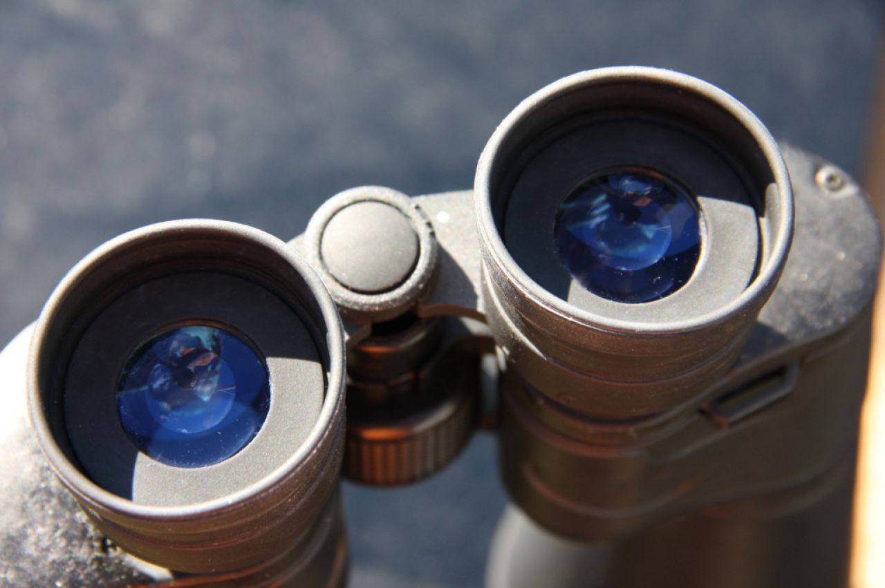 CELESTRON binoculars "Cometron" 12x70, field of view 4.6°, weight approx. 1.4 kg, suitable for eyeglass wearers