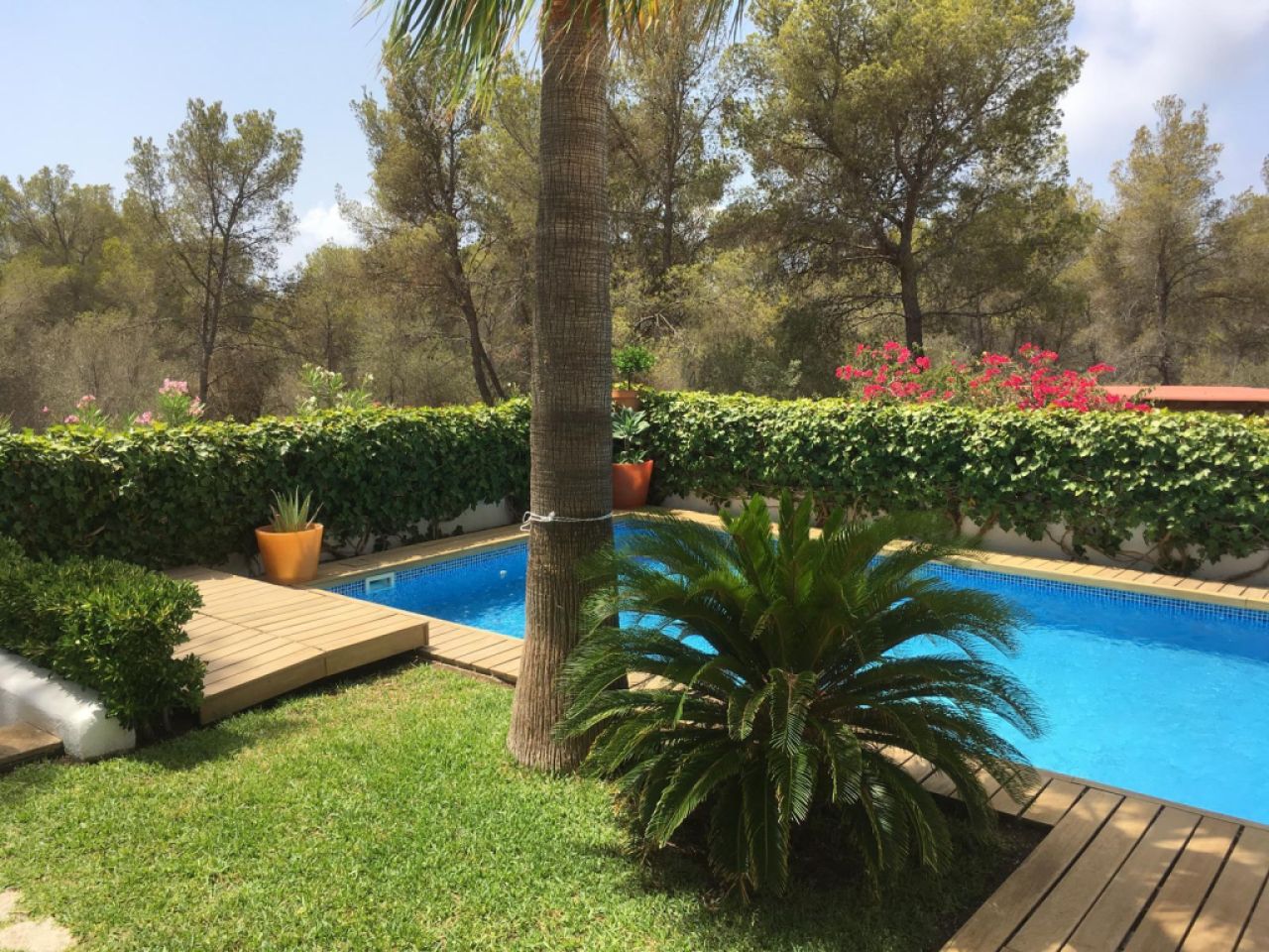 Charming villa with pool in Sol de Mallorca