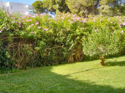 COSTA DE LA CALMA: Komplett sanierte ERDGESCHOSS-WOHNUNG mit 1 SZ in ruhiger Hausgemeinschaft