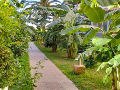 COSTA DE LA CALMA: Komplett sanierte ERDGESCHOSS-WOHNUNG mit 1 SZ in ruhiger Hausgemeinschaft