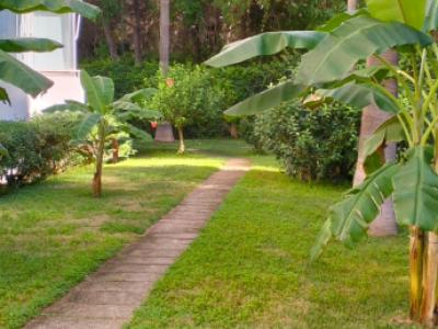 COSTA DE LA CALMA: Komplett sanierte ERDGESCHOSS-WOHNUNG mit 1 SZ in ruhiger Hausgemeinschaft