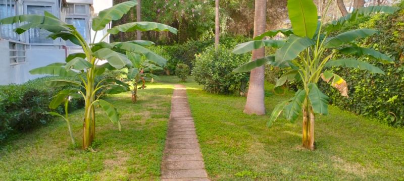 COSTA DE LA CALMA: Komplett sanierte ERDGESCHOSS-WOHNUNG mit 1 SZ in ruhiger Hausgemeinschaft