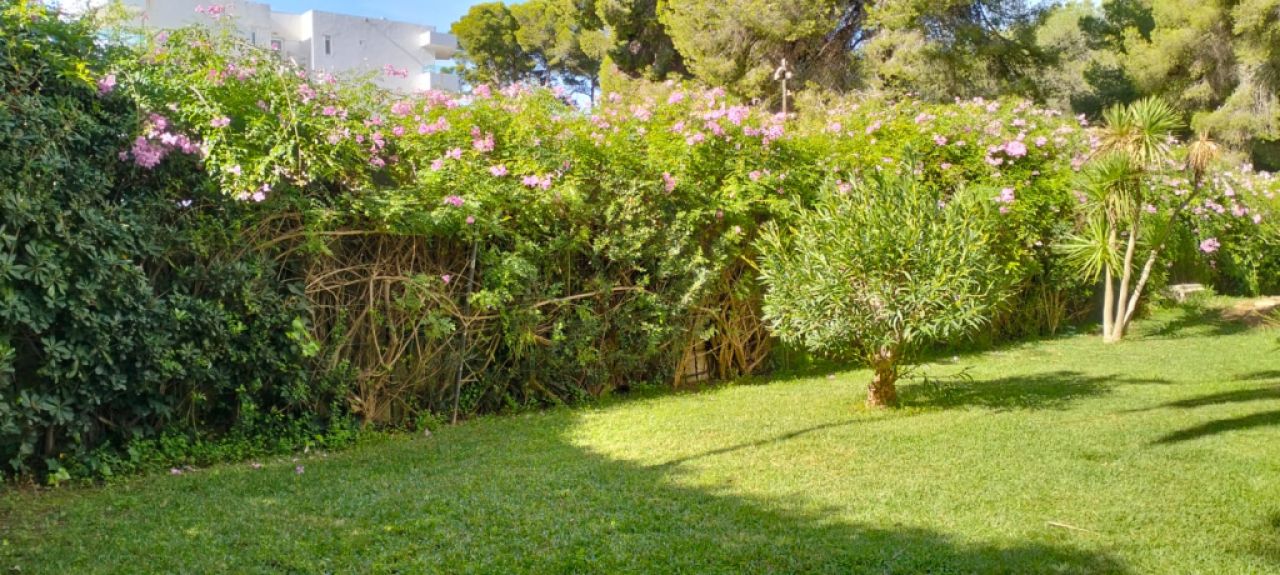 COSTA DE LA CALMA (SANTA PONSA): Renovierungsbedürftiges Studio fussläufig zum Strand