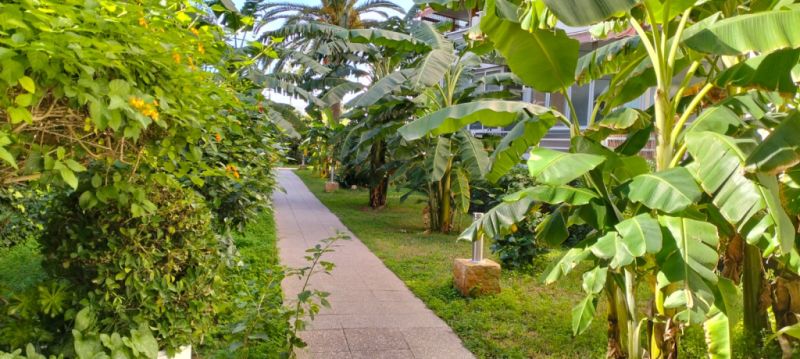 COSTA DE LA CALMA (SANTA PONSA): Renovierungsbedürftiges Studio fussläufig zum Strand