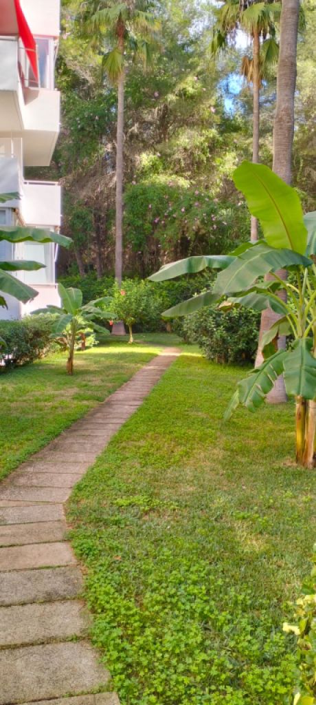 COSTA DE LA CALMA (SANTA PONSA): Renovierungsbedürftiges Studio fussläufig zum Strand