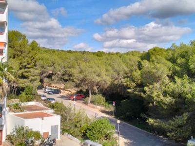 COSTA DE LA CALMA (SANTA PONSA): Renovierungsbedürftiges Studio fussläufig zum Strand