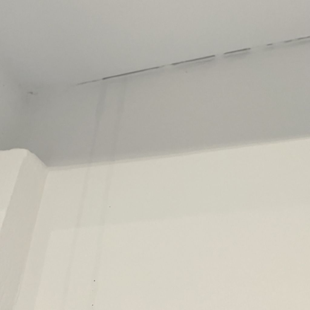 Rehabilitación de tejado