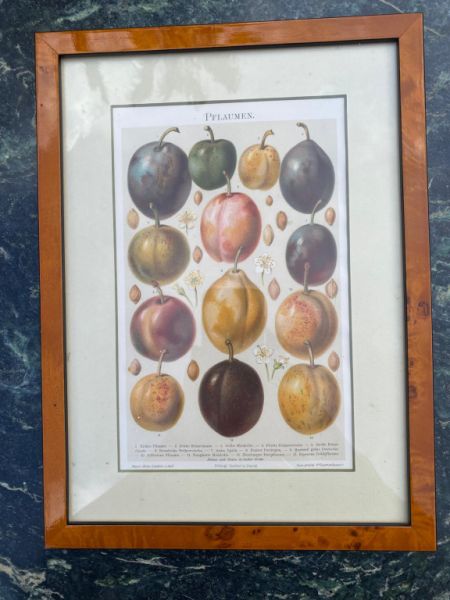DEKO Bild mit Holzrahmen Motiv Pflaumen