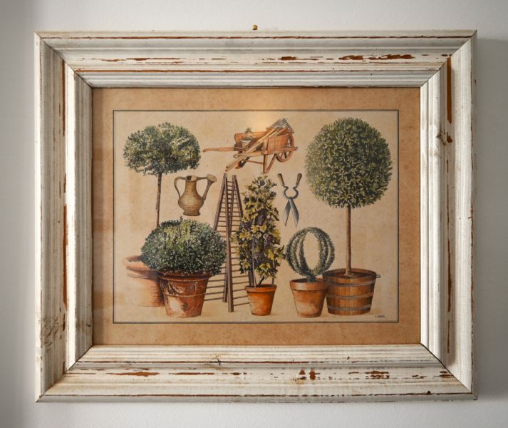 Decorative picture set "Mediterranean garden motifs"