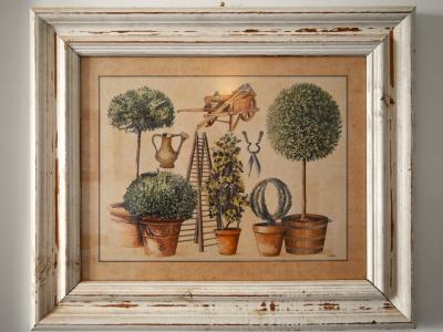 Decorative picture set "Mediterranean garden motifs"