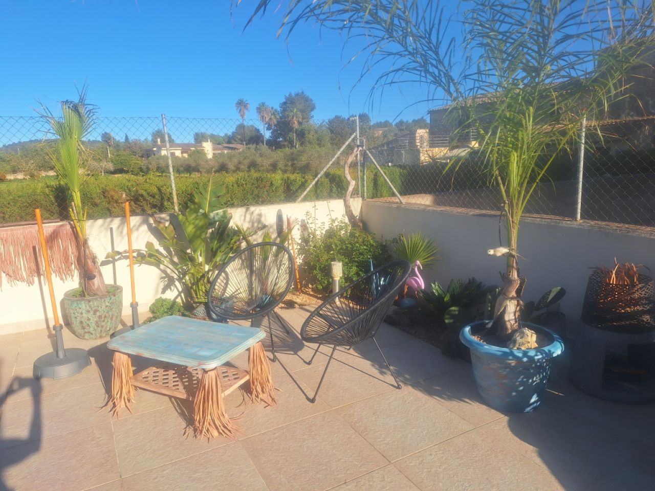 Deluxe Hundebetreuung Hundesitting Hundepension auch für