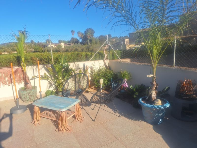 Deluxe Hundebetreuung Hundesitting Hundepension auch für