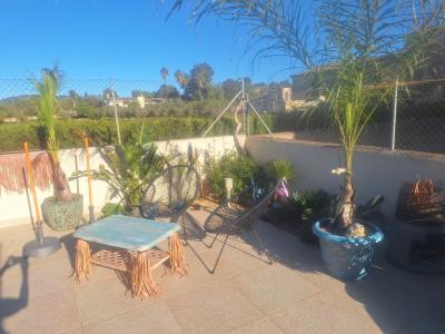 Deluxe Hundebetreuung Hundesitting Hundepension auch für