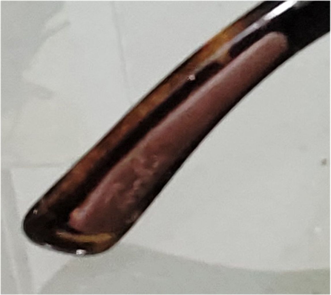 Designer sunglasses by Ray Ban, Made in Italy