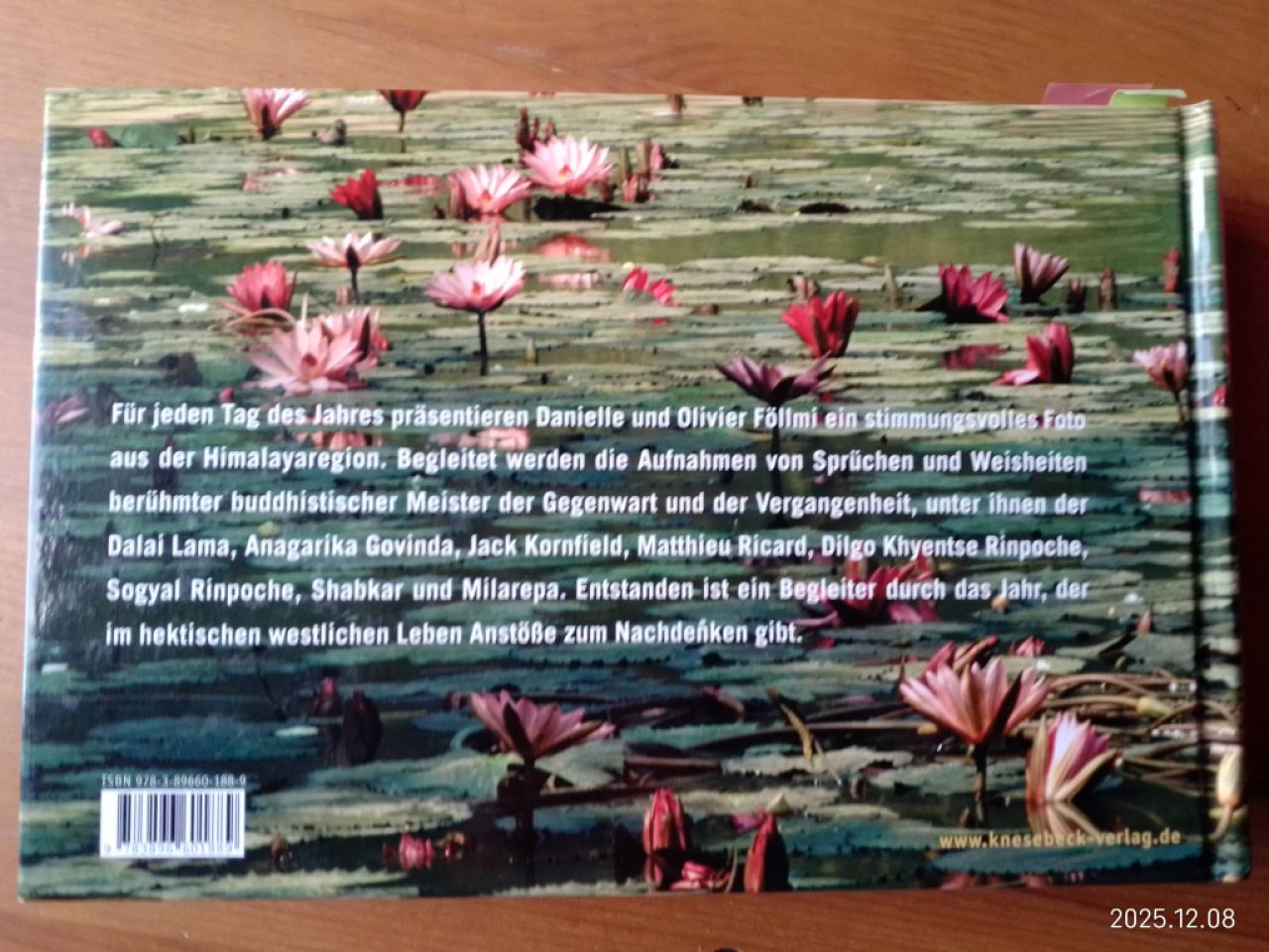 Die Weisheit des Buddhismus  Tag für Tag  Buch