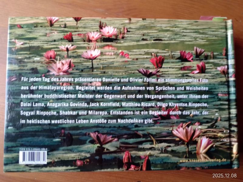 Die Weisheit des Buddhismus  Tag für Tag  Buch