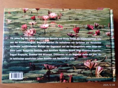 Die Weisheit des Buddhismus  Tag für Tag  Buch