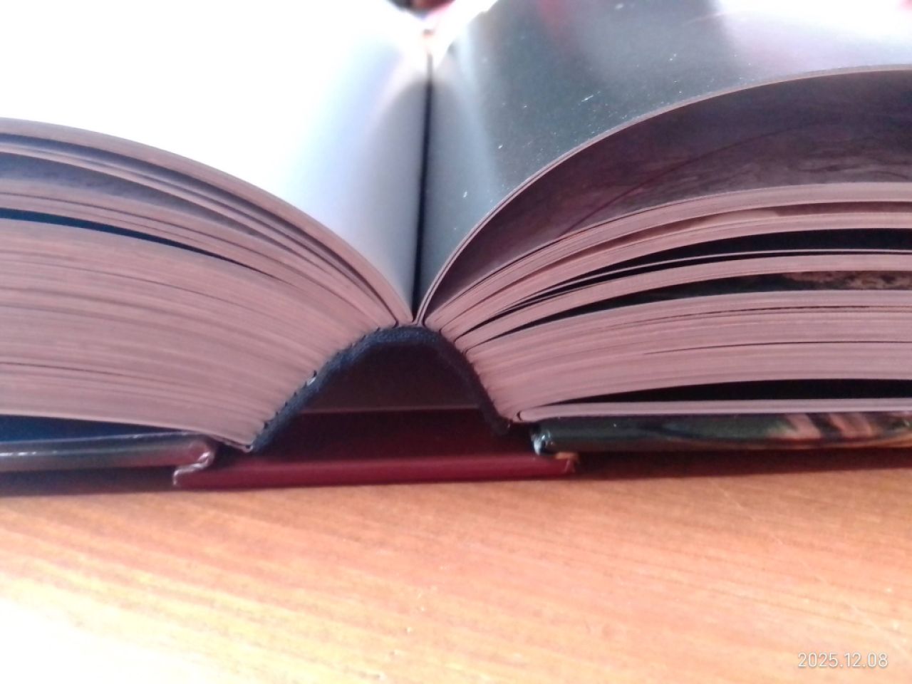 Die Weisheit des Buddhismus  Tag für Tag  Buch