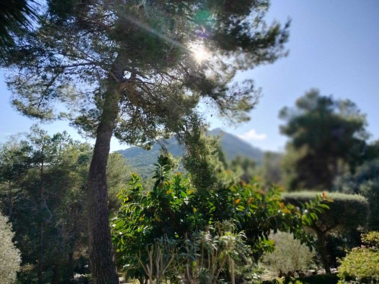 Directamente del propietario - Un sueño a los pies de Sant Salvador – La finca con vistas al mar