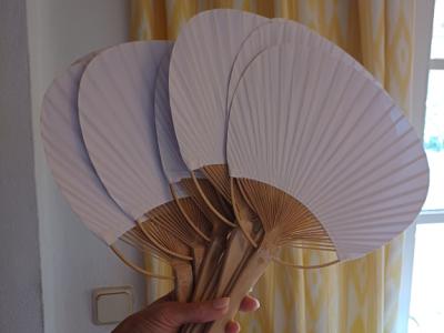 Diverse Glaszylinder/-vasen, Hochzeitsdeko