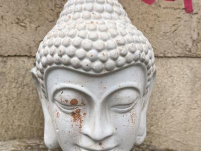 Miscellaneous for Home and Garden