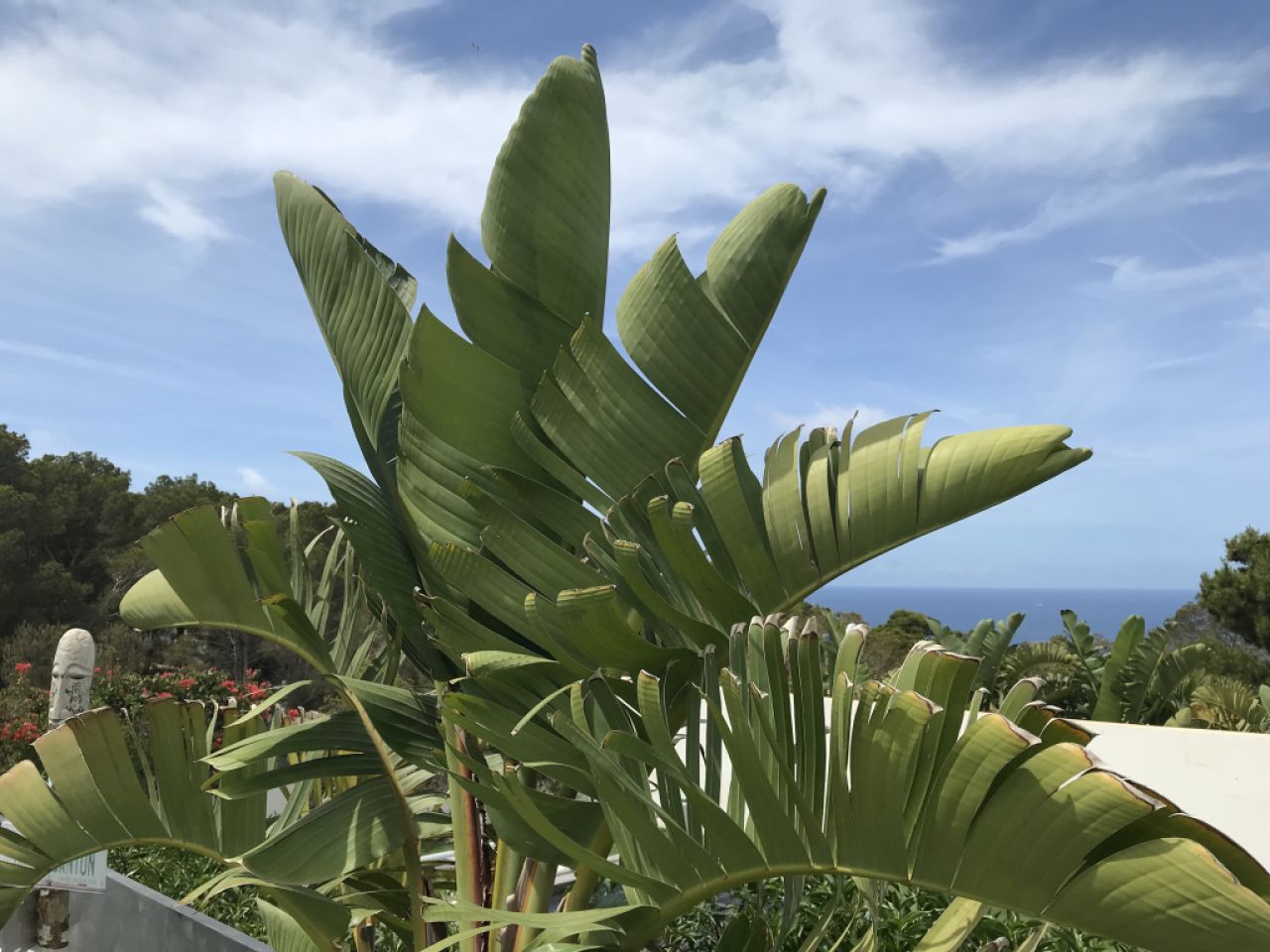 Doppelhaus mit Exklusiven Meerblick auf die Bucht von Palma