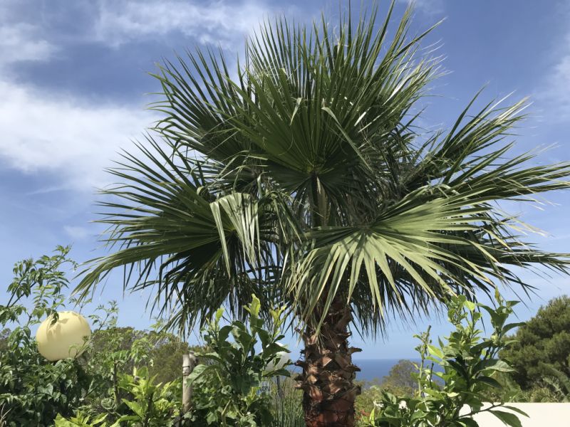 Doppelhaus mit Exklusiven Meerblick auf die Bucht von Palma