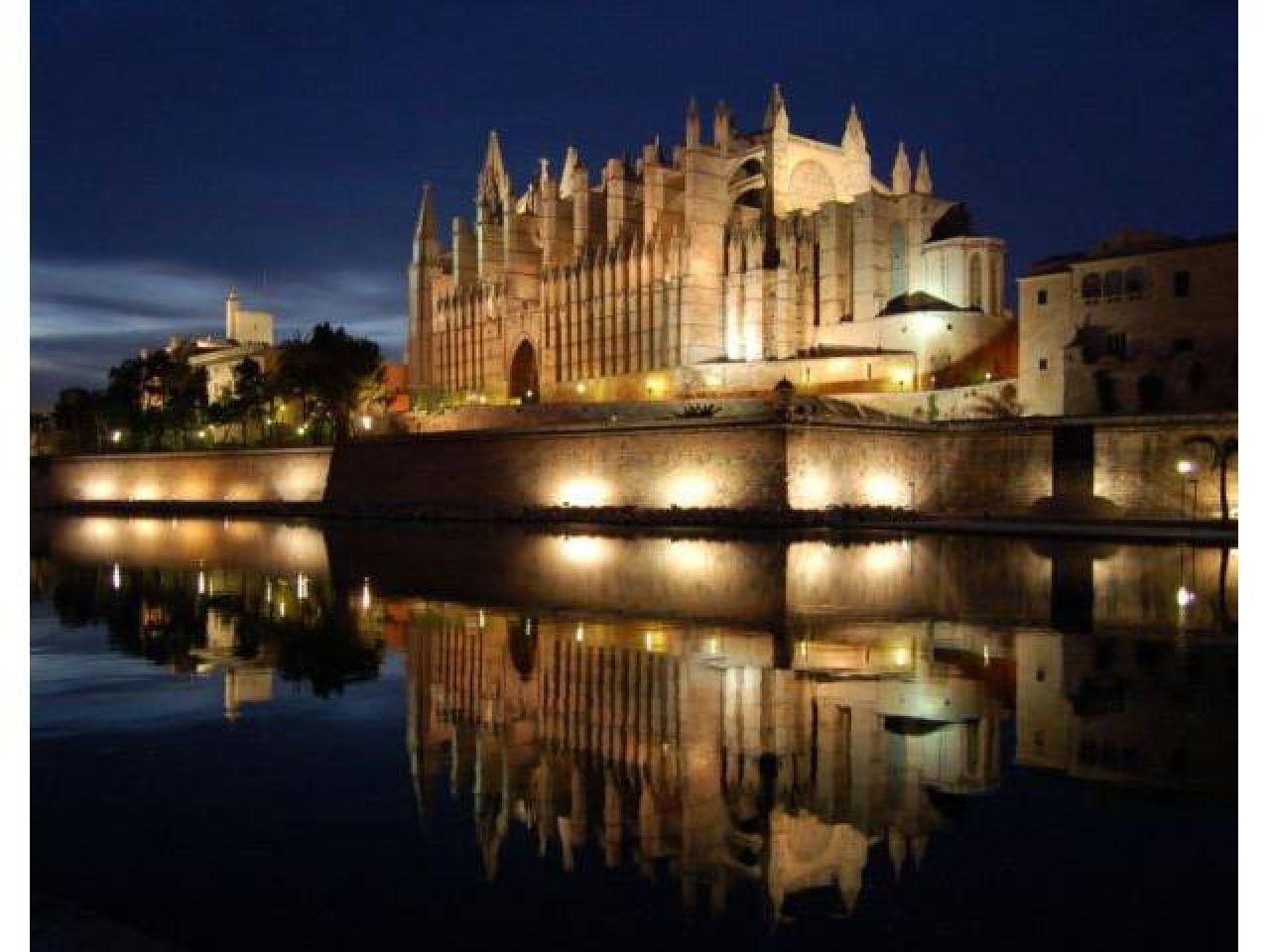 ¿Estás de vacaciones aquí en Mallorca y buscas un compañero serio?