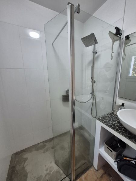 Glass shower partition