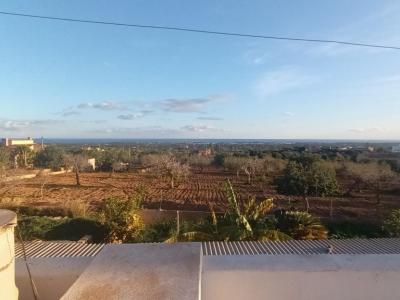 Ebenerdiges Chalet mit Garten und Meerblick -- in S HOrta -CH 20