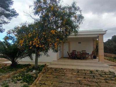 Single-level modern chalet with 5 rooms in Cala Llombards -- CH 20