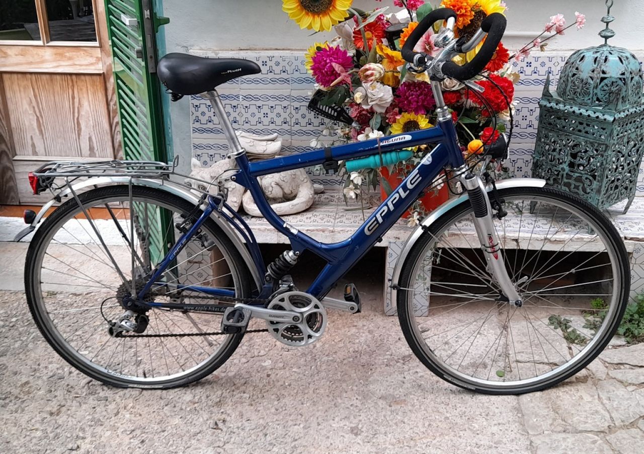 Elegant Aluminum Bicycle 28 Inch