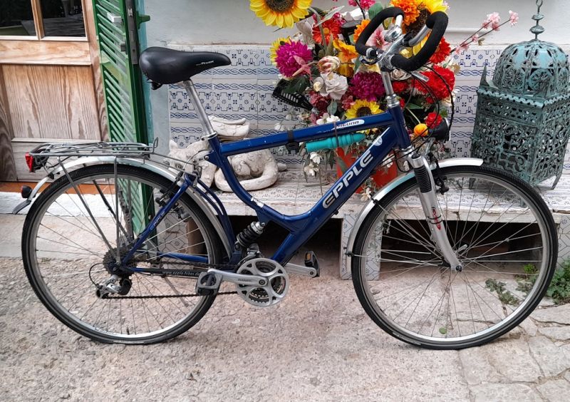 Elegant Aluminum Bicycle 28 Inch