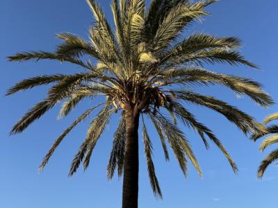 En realidad, solo te faltas tú......