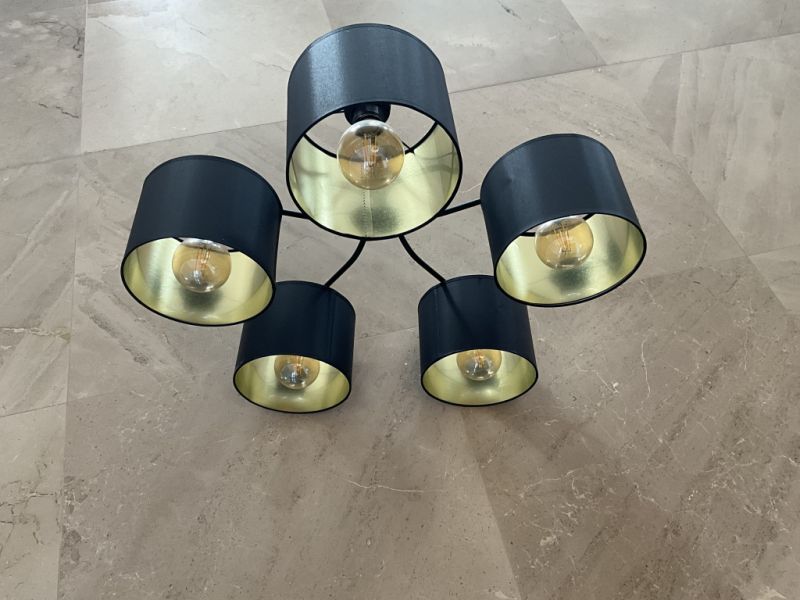 A pendant lamp and a ceiling lamp to give away