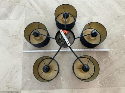 A pendant lamp and a ceiling lamp to give away