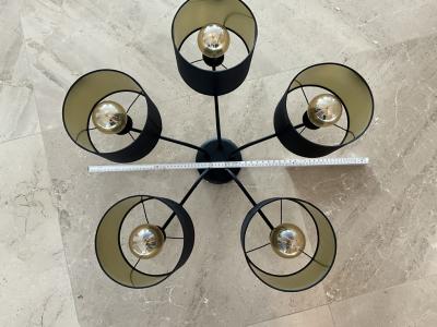 A pendant lamp and a ceiling lamp to give away