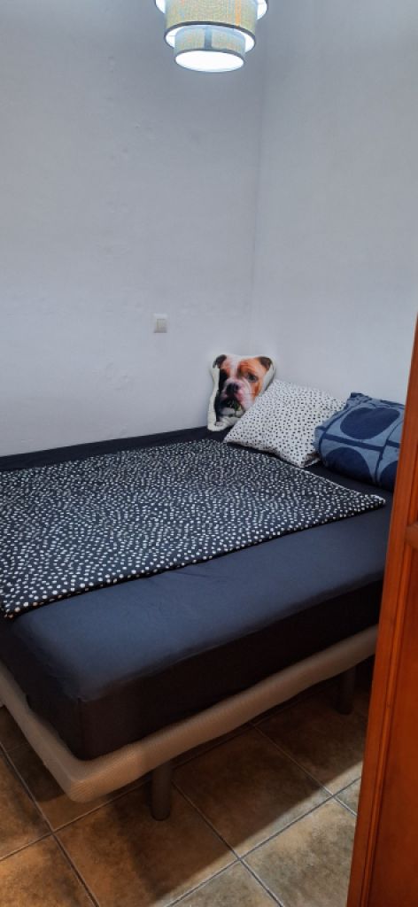 Simple apartment for long-term rent in Capdepera!