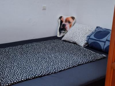 Simple apartment for long-term rent in Capdepera!