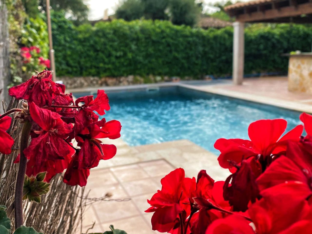 Detached house Cala Romántica with pool, garden and close to the beach