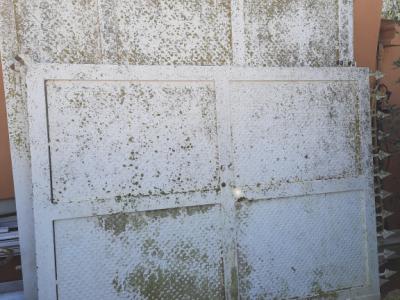 Entrance door and 2 two wing gates