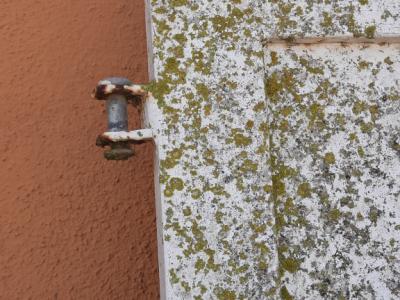 Entrance door and 2 two wing gates