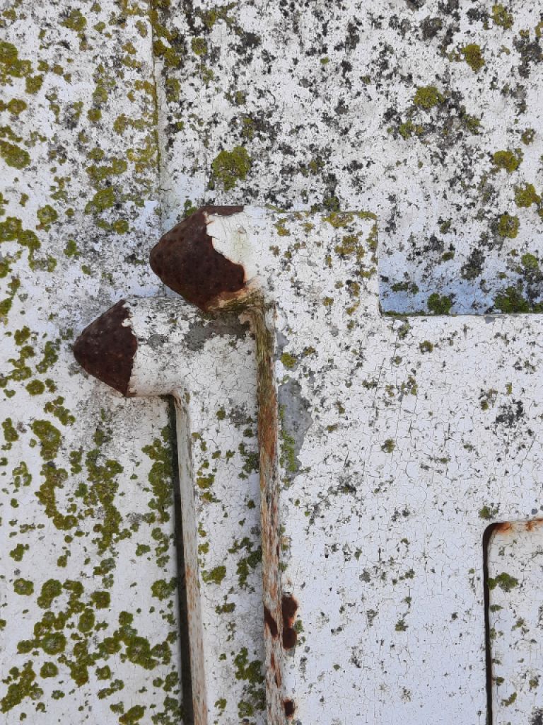 Entrance door and 2 two wing gates