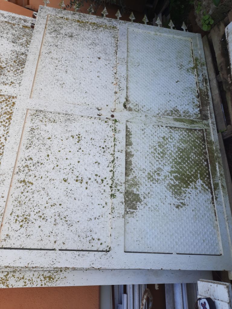 Entrance door and 2 two wing gates