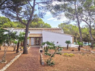 Einzigartige Investmentgelegenheit in Santa Ponsa – 2 Grundstücke mit Villa