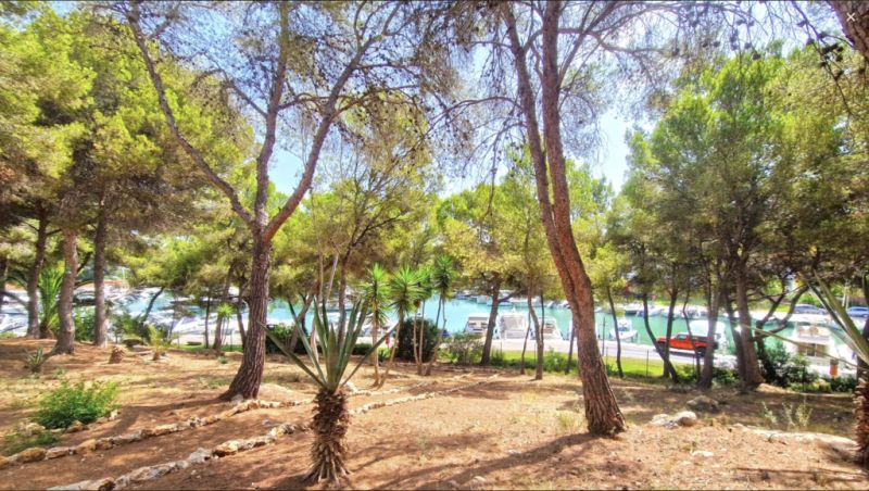 Einzigartige Investmentgelegenheit in Santa Ponsa – 2 Grundstücke mit Villa