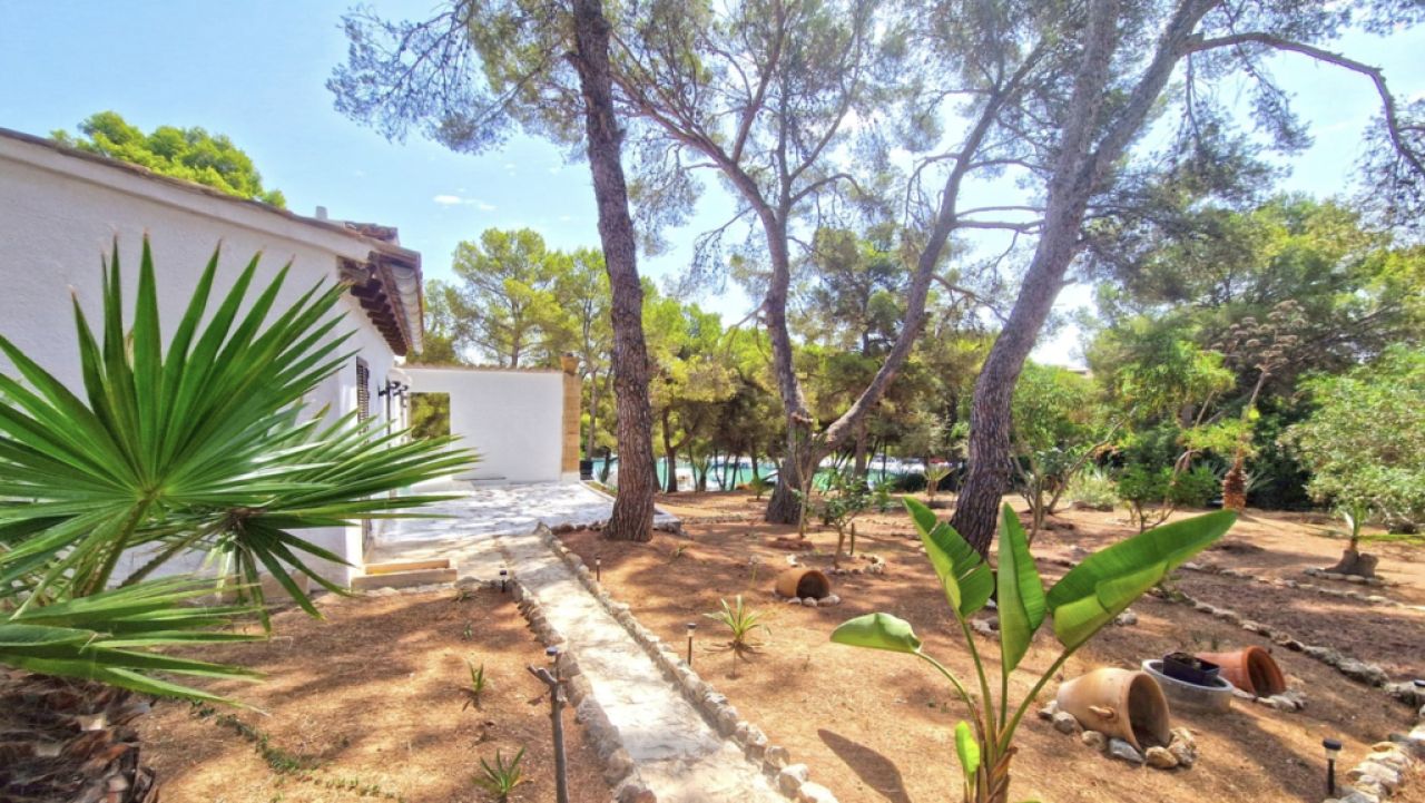 Einzigartige Investmentgelegenheit in Santa Ponsa – 2 Grundstücke mit Villa