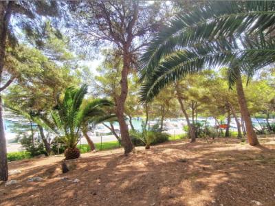 Einzigartige Investmentgelegenheit in Santa Ponsa – 2 Grundstücke mit Villa